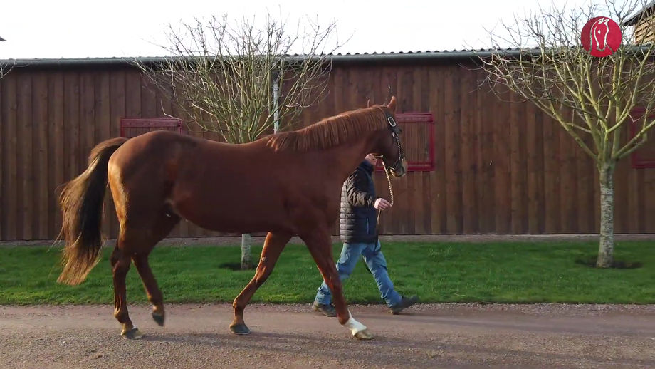 TEAM 2 - J1 - HARAS DE CHANTEMERLE
